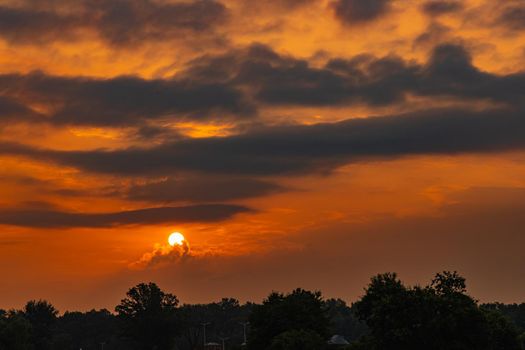 Beautiful cloudy sunrise over big yellow field and trees of forest