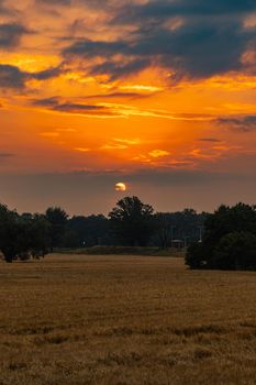 Beautiful cloudy sunrise over big yellow field and trees of forest