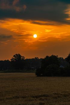 Beautiful cloudy sunrise over big yellow field and trees of forest