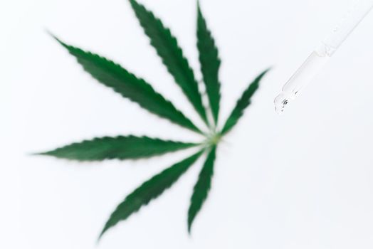 Hemp CBD oil in a pipette on a white background with a hemp leaf, biomedicine and ecology, hemp grass, medicine, cbd oil from a medical extract