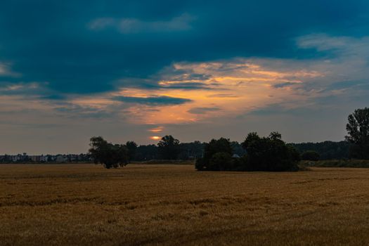Beautiful cloudy sunrise over big yellow field and trees of forest