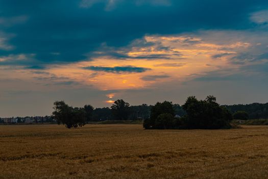 Beautiful cloudy sunrise over big yellow field and trees of forest