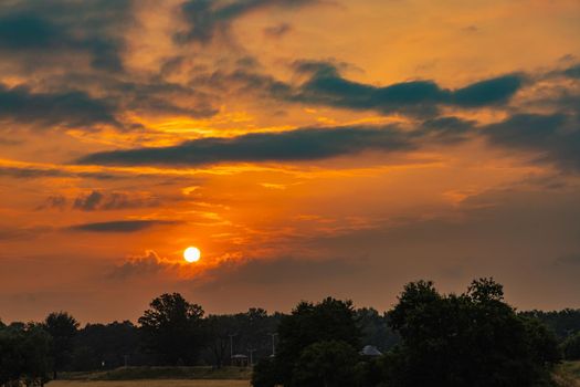 Beautiful cloudy sunrise over big yellow field and trees of forest