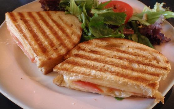 Grilled cheese and tomato sandwich on a plate with a side of organic spring lettuce