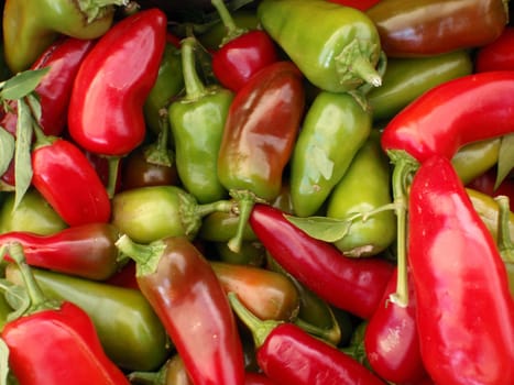 Multi Colored (Green and Red) hot, Chilli Peppers at a Farmers Market in San Francisco