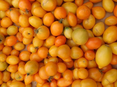 Bunch of Yellow-orange Tomatoes at a farmers market in San Francisco California      