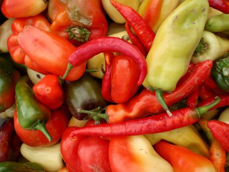 close-up multi-colored colorful chili peppers of different styles background at a Farmers Market in San Francisco 