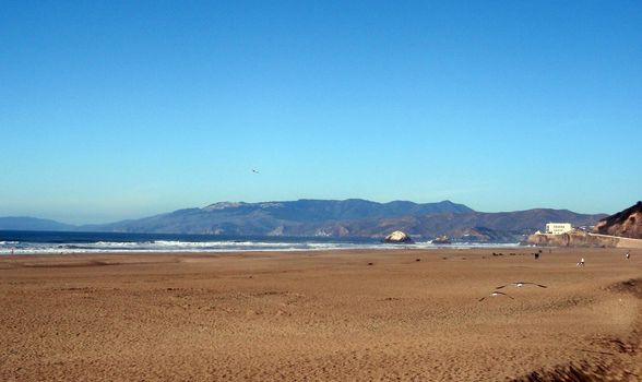 Ocean Beach with birds flying by, in San Francisco on a clear day.