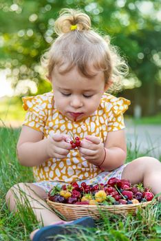 The child eats berries in the garden. Selective focus. Kid.