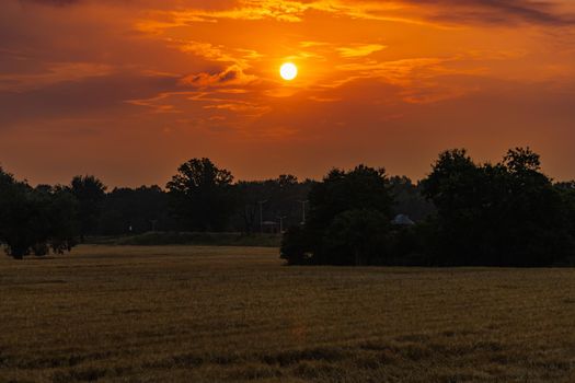 Beautiful cloudy sunrise over big yellow field and trees of forest