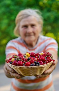 Grandmother holds a harvest of berries in her hands. Selective focus. Food.