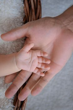 Newborn baby feet and hands of parents. Palms together.