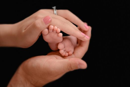 Newborn baby feet and hands of parents. Palms together.