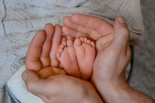 Newborn baby feet and hands of parents. Palms together.