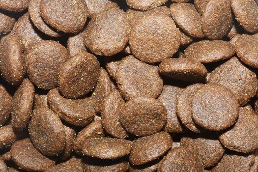 Dogs dry round food close up animals eating background high quality big size prints