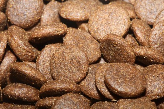 Dogs dry round food close up animals eating background high quality big size prints