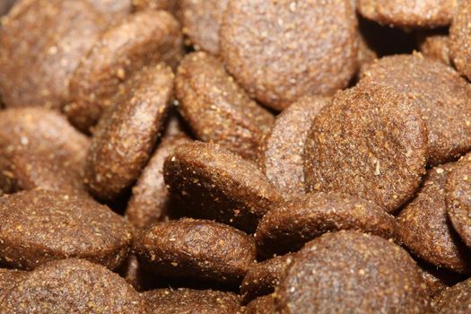 Dogs dry round food close up animals eating background high quality big size prints