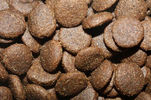 Dogs dry round food close up animals eating background high quality big size prints