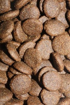 Dogs dry round food close up animals eating background high quality big size prints