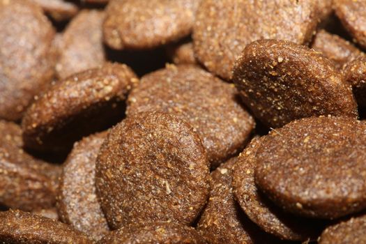 Dogs dry round food close up animals eating background high quality big size prints