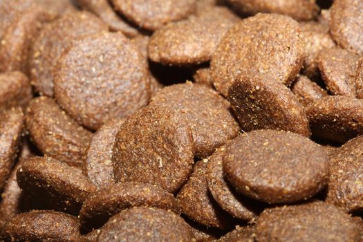 Dogs dry round food close up animals eating background high quality big size prints
