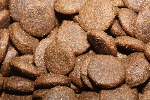 Dogs dry round food close up animals eating background high quality big size prints