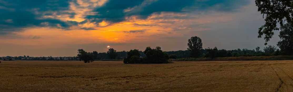 Large panorama of beautiful cloudy sunrise over big yellow field and trees of forest