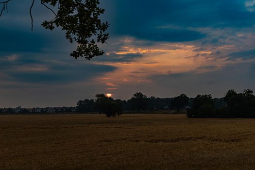 Beautiful cloudy sunrise over big yellow field and trees of forest