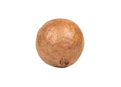 Macadamia nut in a shell isolated on a white background