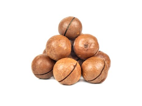 Small pile of macadamia nuts in a shell on a white background