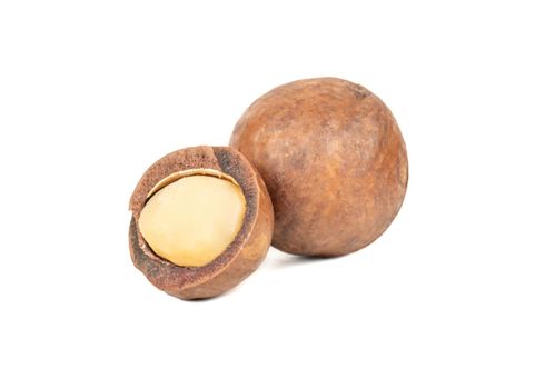 Split macadamia nut isolated on white background
