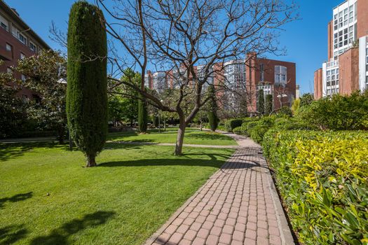 European courtyard, green lawn, cobblestone walkway in a residential complex of apartment buildings. Outdoor facilities on a sunny day. Eco-friendly living, modern cityscape in Barcelona city, Spaine