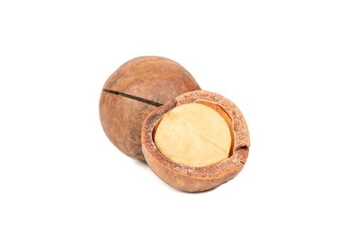 Split macadamia nut isolated on white background