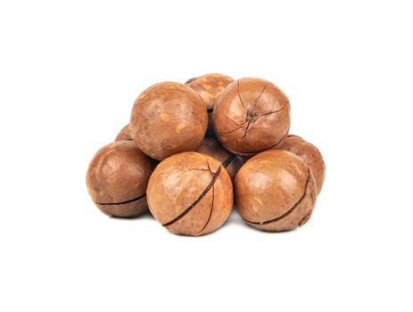 Small pile of macadamia nuts in a shell on a white background