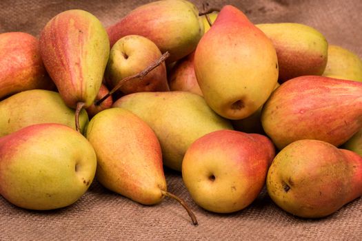 Big pile of fresh pears lying on sackcloth and photographed close up