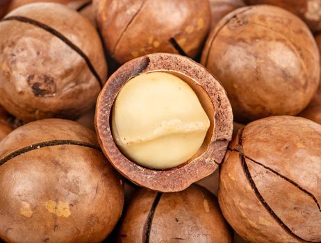 Scattered macadamia nuts with half a close up