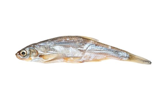 Dry small fish isolated on a white background