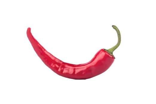Fresh curved red hot chili peppers on a white background