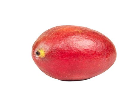 Ripe red mango fruit isolated on a white background