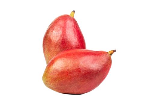 Two red mango fruit isolated on a white background