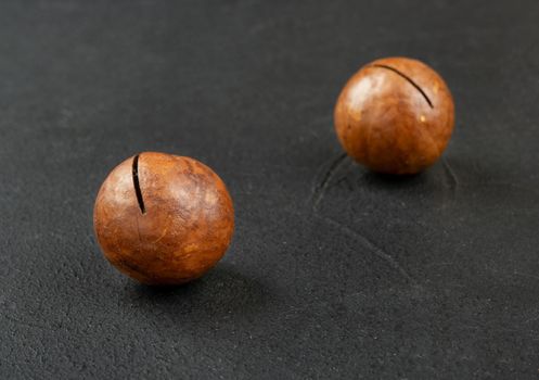 Two inshell macadamia nuts on a dark background