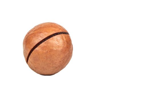 Macadamia nut in a shell on an empty white background subtext