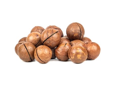 Pile of macadamia nuts in a shell on a white background