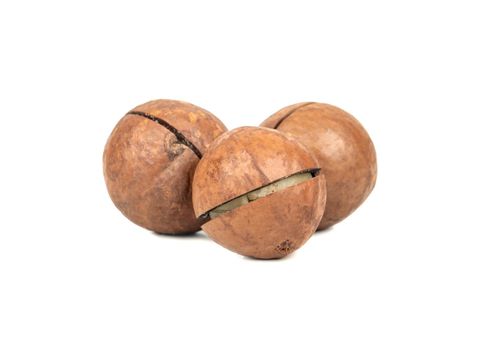 Three macadamia nuts in a shell isolated on a white background