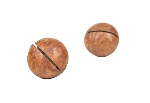 Two macadamia nuts in a shell isolated on a white background