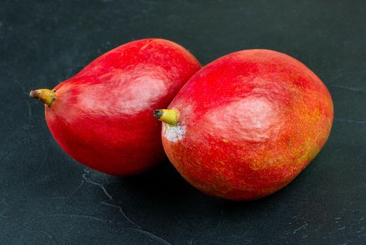 Two red delicious mango fruits on a concrete background