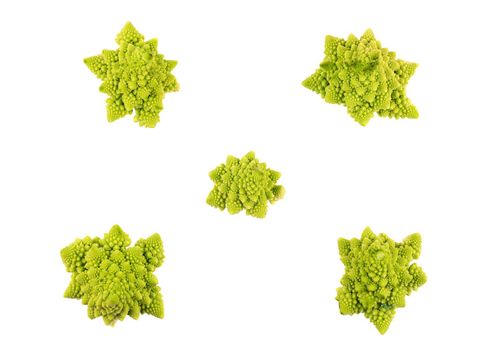 Collection of five different branches of fresh Romanesco cabbage isolated on white background