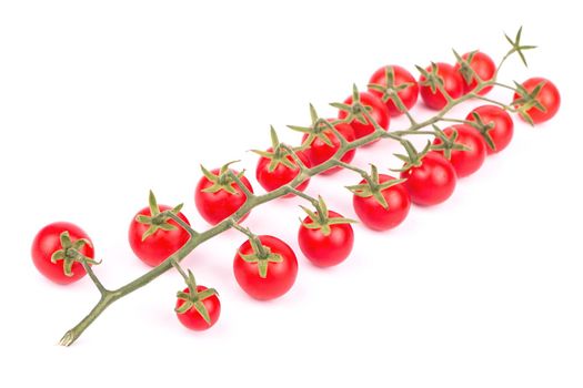 Sprig of small fresh red cherry tomatoes with drops on a white background