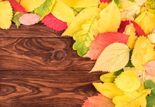 Scattered variety of autumn leaves on an empty wooden board