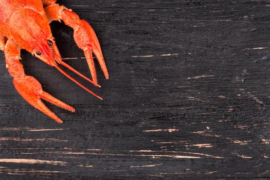 Red boiled crawfish is located in the corner of a dark wooden table